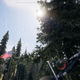 If the Far Cry 5 skill tree were an actual tree, it would look like this.